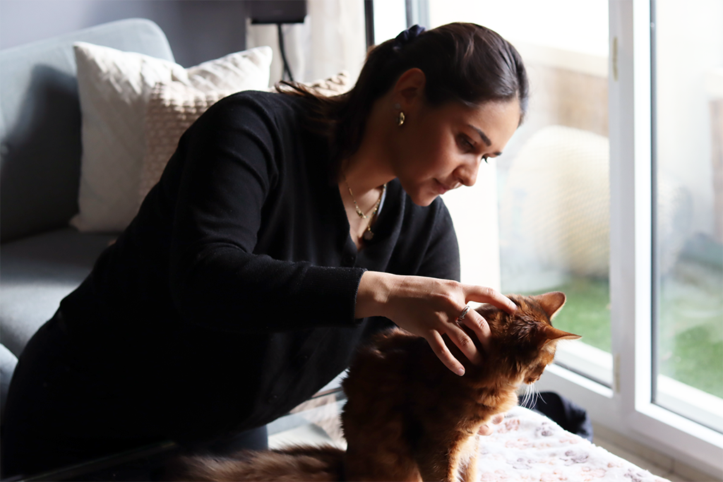 soins chat tigre marron tete soins chat tigre marron tete