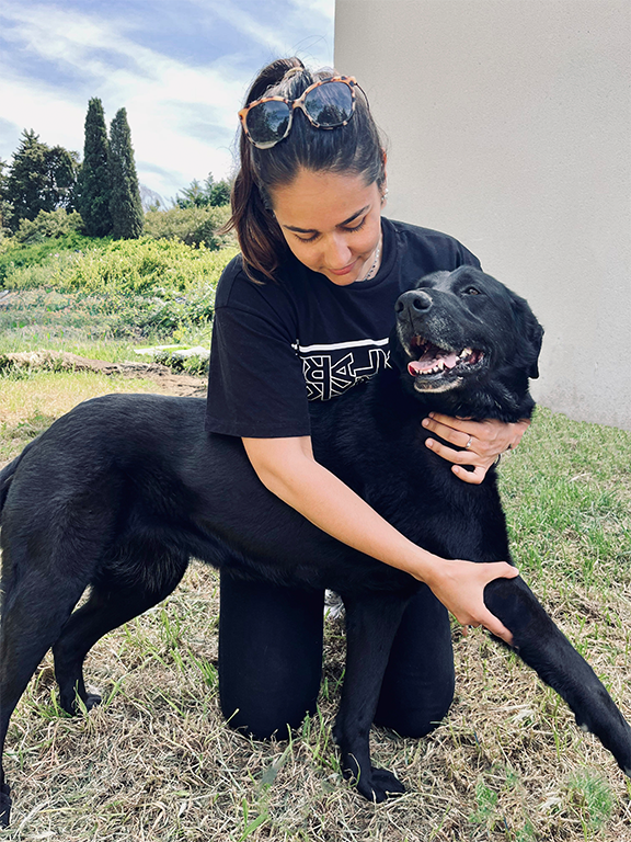 soins chien noir patte et cou