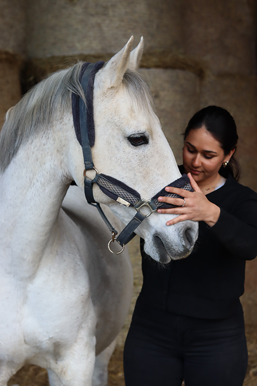 traitement-ostéopathique-cheval-blanc-cou